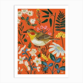 Spring Birds Dipper 3 Art Print