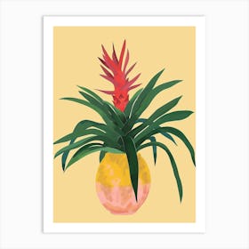 Bromeliad Plant Minimalist Illustration 5 Art Print