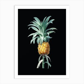 Vintage Pineapple Botanical Illustration on Solid Black n.0545 Art Print