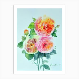 Ranunculus Art Print