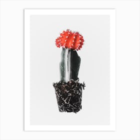 Cacti Plant 1 Art Print