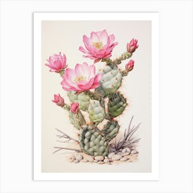 Vintage Cactus Illustration Austrocylindropuntia Subulata 2 Art Print