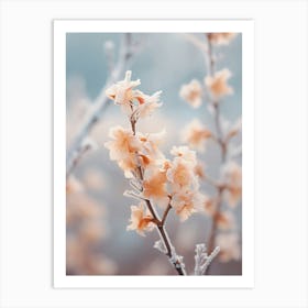 Frosty Botanical Chinese Witch Hazel 4 Art Print