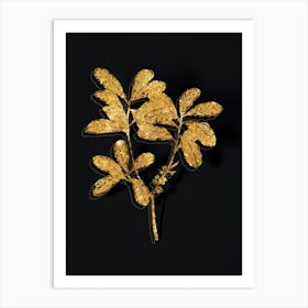 Vintage Northern Bayberry Botanical in Gold on Black n.0543 Art Print