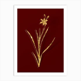 Vintage Ixia Anemonae Flora Botanical in Gold on Red n.0376 Art Print