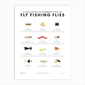 Fly Fishing Flies Field Guide Art Print