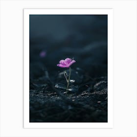 Flower In The Dark 37 Art Print