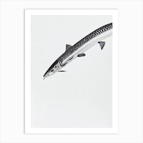 Barracuda Black & White Drawing Art Print