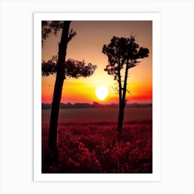 Sunset In The Field 20 Art Print