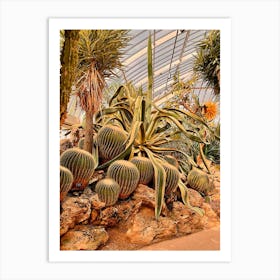 Cacti In Captivity Art Print