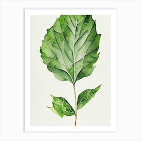 Wild Lettuce Leaf Minimalist Watercolour 1 Art Print