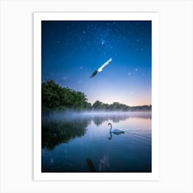 Swan Gliding Gracefully Over A Moonlit Mystical Lake Reflection Of Twinkling Stars On Waters Surf Art Print