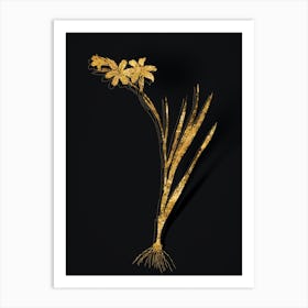 Vintage Gladiolus Botanical in Gold on Black n.0412 Art Print