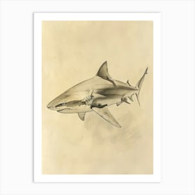 Phoebefy A Pencil Crayon Drawing Of A Shark Centred 1970prese 82322e95 B79c 4eea 8cc5 9250fa76073c 3 Art Print