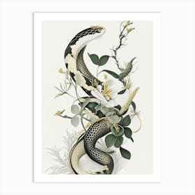 Greater Green Snake Gold And Black Art Print
