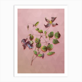 Vintage Virgin's Bower Botanical Art on Crystal Rose Art Print