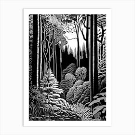 Bernheim Arboretum And Research Forest, 1, Usa Linocut Black And White Vintage Art Print