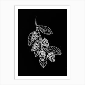 Raspberry Berries Twig Line Art Fruit Branch Factory Nature Drawing Sketch Botany Art Print