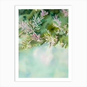 Acropora Rongelapensis Ii Storybook Watercolour Art Print