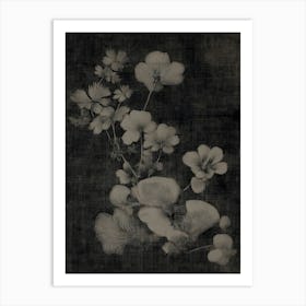 Chinese Flowers Art Print