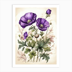 Purple Poppy Mallow Wildflower Vintage Botanical 1 Art Print