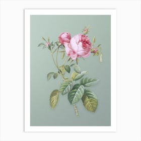Vintage Pink Cabbage Rose de Mai Botanical Art on Mint Green n.0150 Art Print