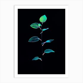 Green Leaf On A Black Background 1 Art Print