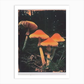 Mushrooms Retro Photo Inspired 1 Art Print