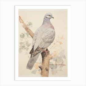 Vintage Bird Drawing Pigeon 1 Art Print