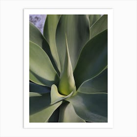 Botanical Green Agave Leafs Art Print