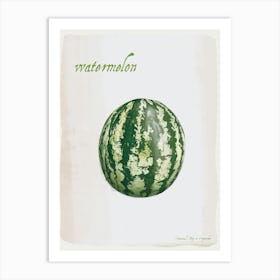 Watermelon Vintage illustration Print Art Print