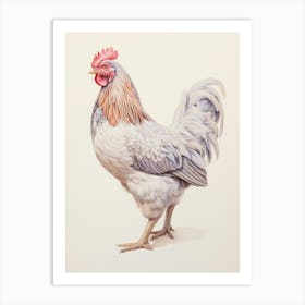 Vintage Bird Drawing Chicken 2 Art Print