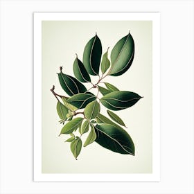 Wax Myrtle Leaf Vintage Botanical 3 Art Print