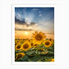 Sunset With Beautiful Sunflowers Art Print
