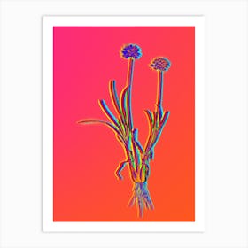 Neon Allium Carolinianum Botanical in Hot Pink and Electric Blue n.0445 Art Print