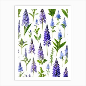 Nature Pattern Isolate White Arrangement Purple Flat Floral Blue Natural Herbal Medicine (14) Art Print