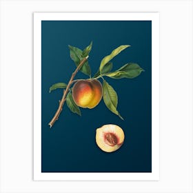 Vintage Peach Botanical Art on Teal Blue n.0165 Art Print