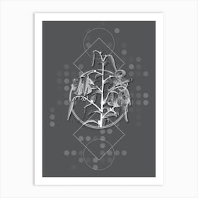 Vintage Tiger Lily Botanical with Line Motif and Dot Pattern in Ghost Gray n.0365 Art Print