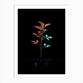 Tree On A Black Background 1 Art Print