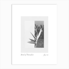 Bird Of Paradise Botanical Collage 1 Art Print