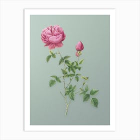 Vintage Pink Autumn China Rose Botanical Art on Mint Green n.0249 Art Print