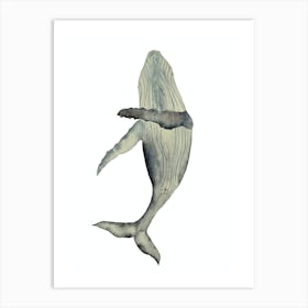 Whale Art Print