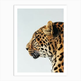 Leopard 26 Art Print