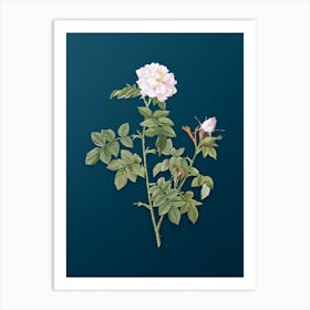 Vintage Pink Rosebush Botanical Art on Teal Blue n.0421 Art Print