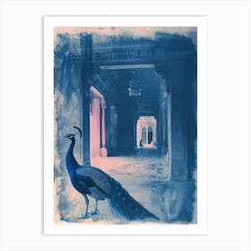 Blue Peacock In A Palace Cyanotype Inspired Art Print
