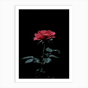 Dark Rose 37 Art Print