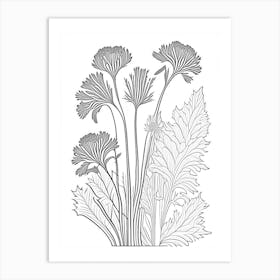 Angelica Herb William Morris Inspired Line Drawing 3 Art Print
