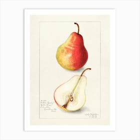 Pears Art Print