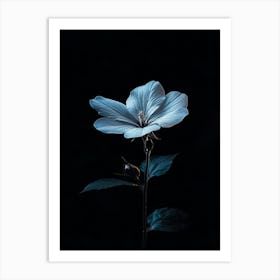 Dark Blue Flower 8 Art Print