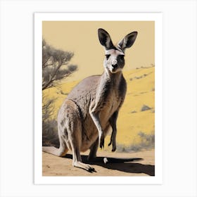 Kangaroo Art Print